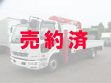 三菱 大型 セルフクレーン